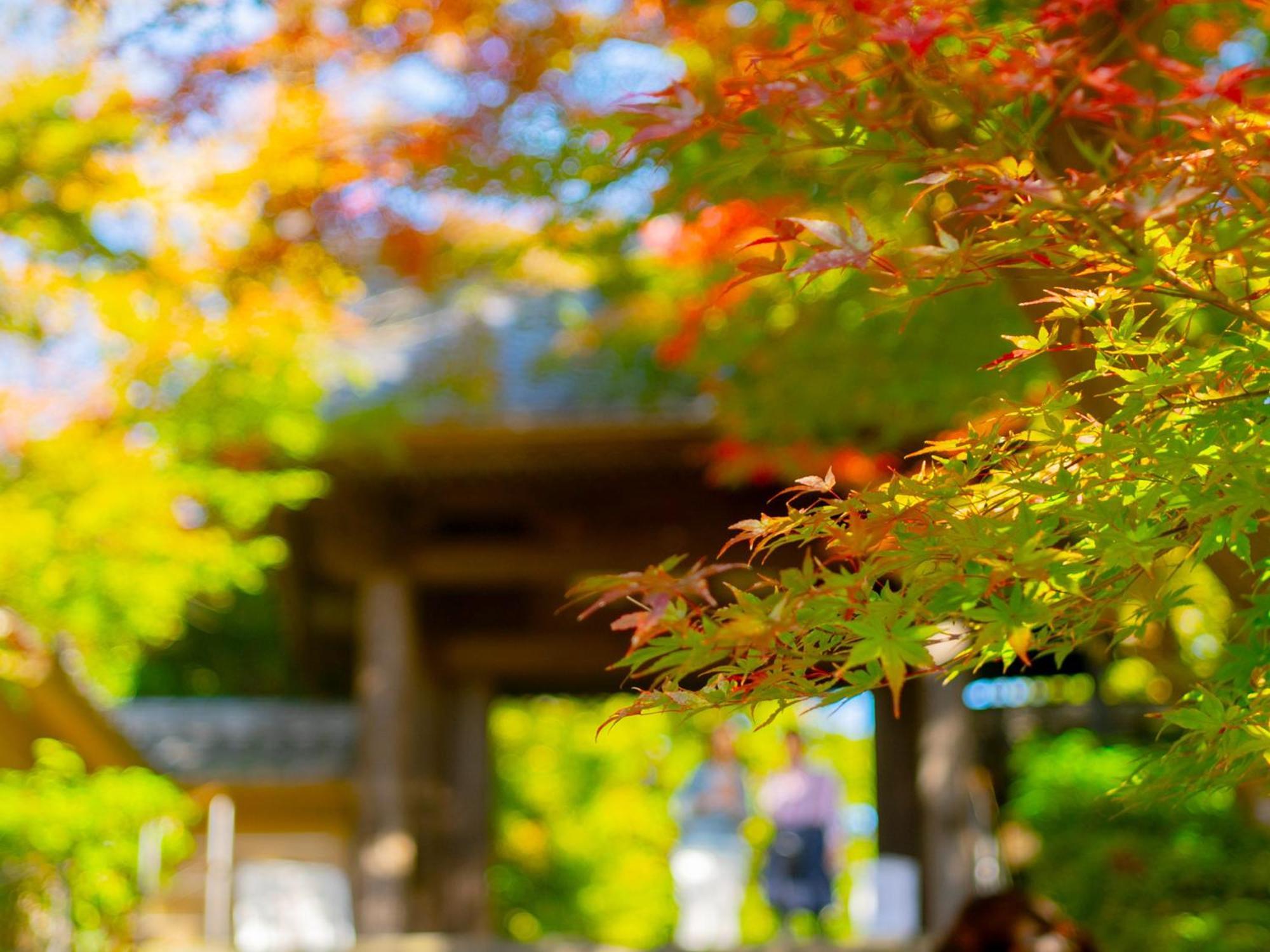 Kita-Kamakura 520 Hotel Kültér fotó