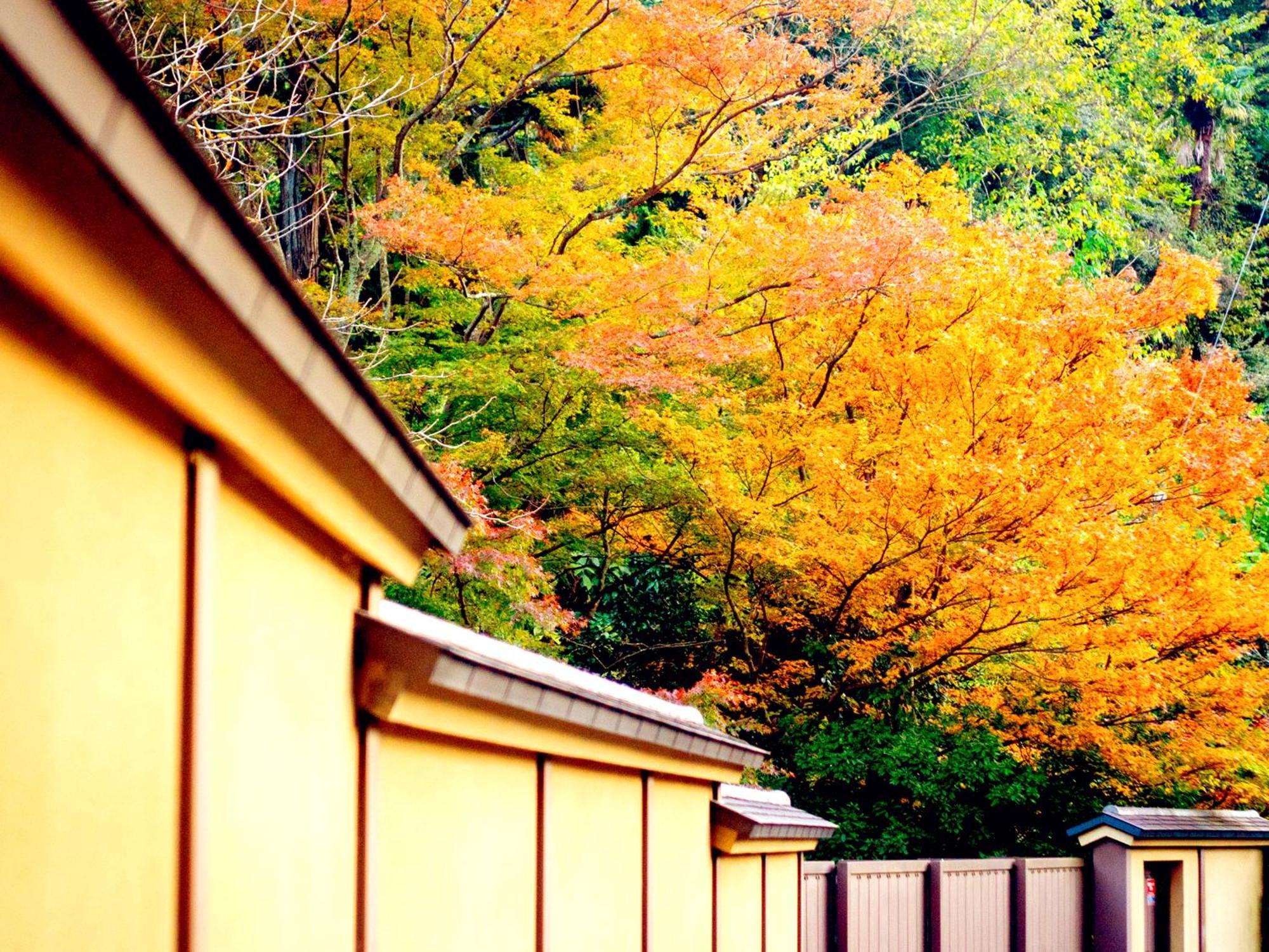 Kita-Kamakura 520 Hotel Kültér fotó